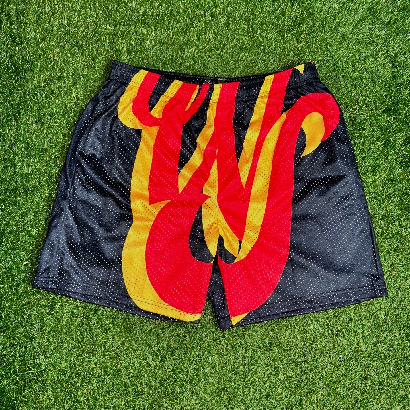 Wonderland Wasted Shorts