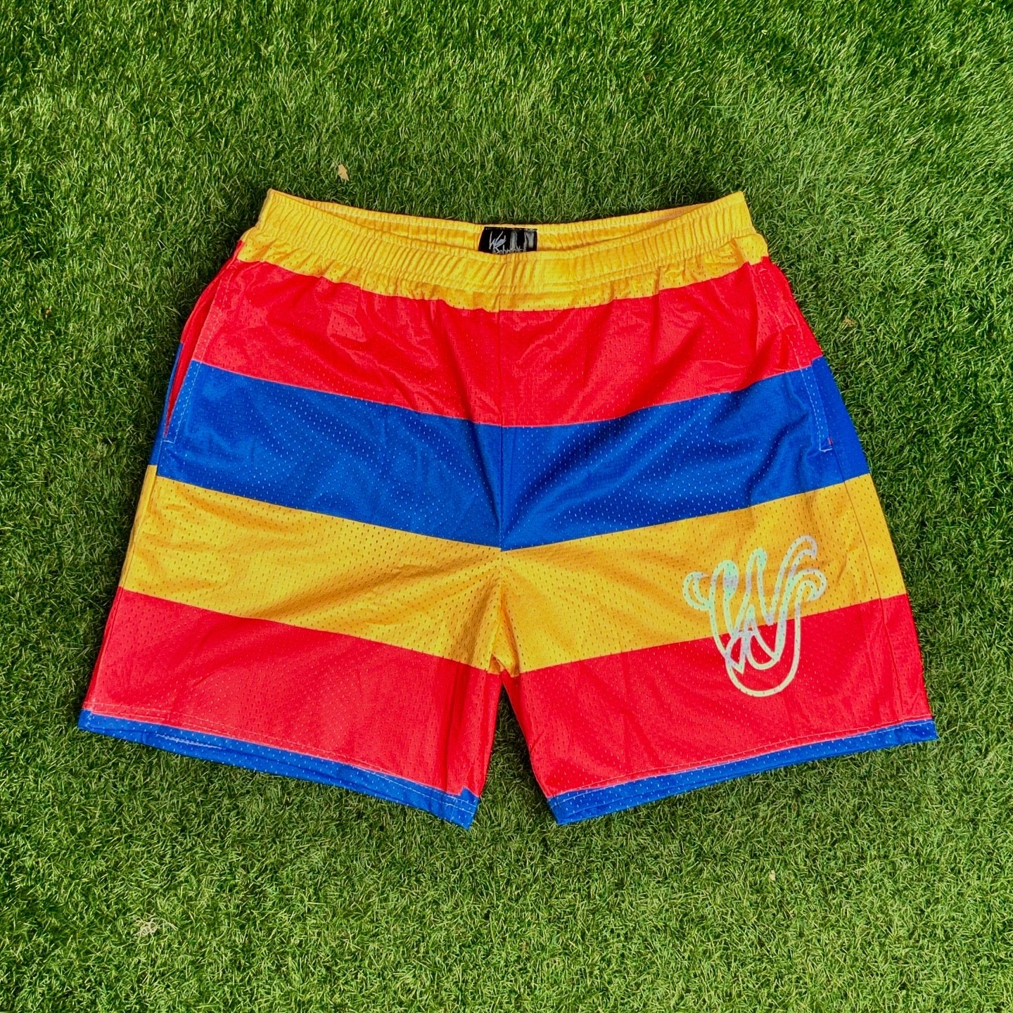 Wonderland Wasted Shorts